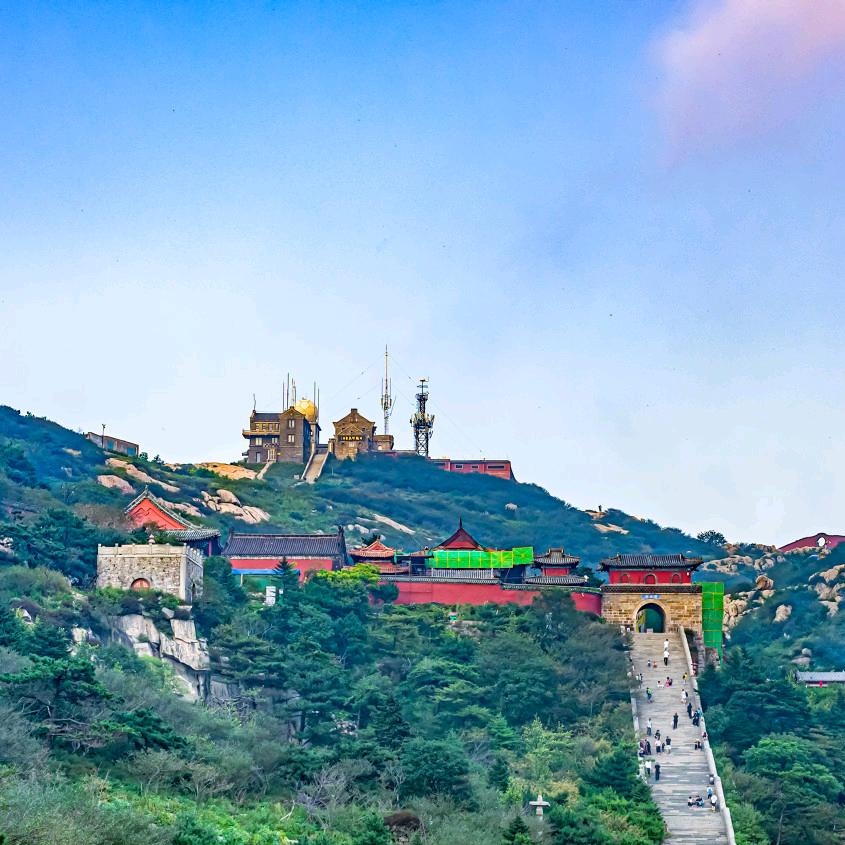 常青树🌲