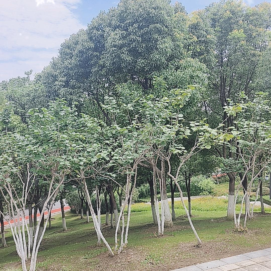 叁月便利店(吾悦广场兰州银安路店)宠粉号