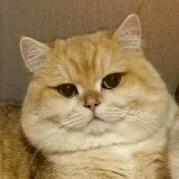 _梦里梦到醒不来的梦