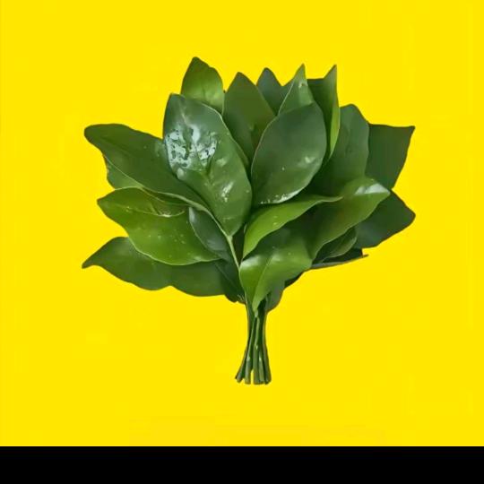 明知山有虎，还去虎山行