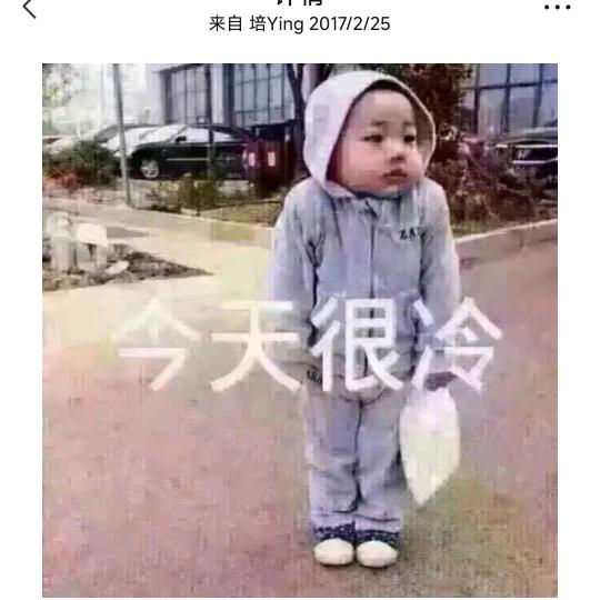美好的将来