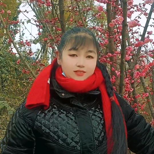 @茉莉花茶