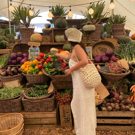 园艺小鸟Gardening