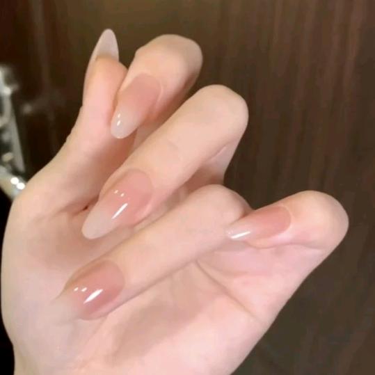 蟑兮兮