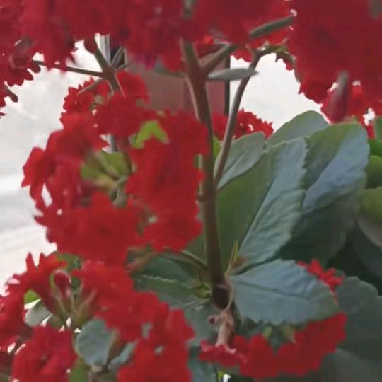 好好爱自己