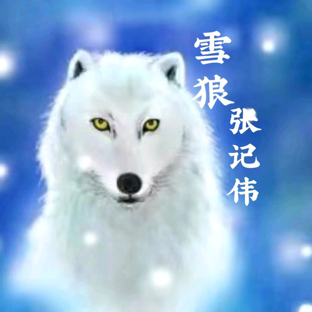 雪狼V587❄️（豫）❄️封票中❄️