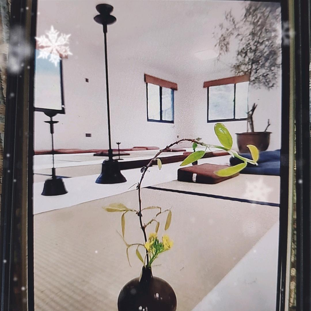 我 就是我 🌹🌹🌹