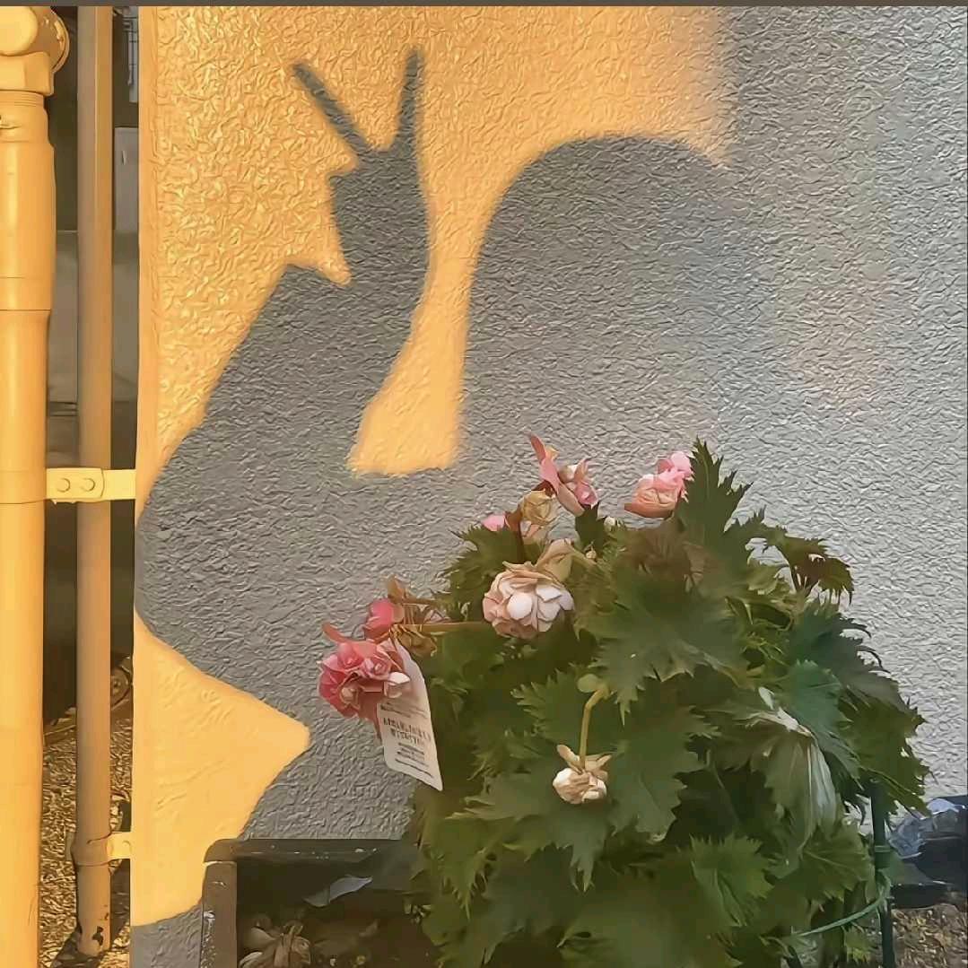 🌈*🌈*🌈小奇