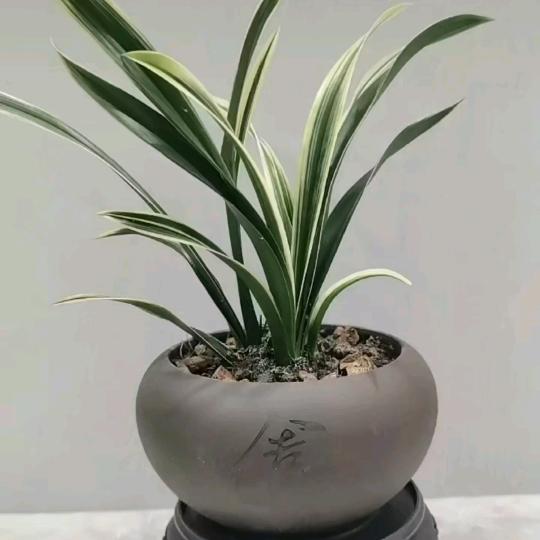 回忆_248388424