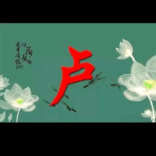 卢志江