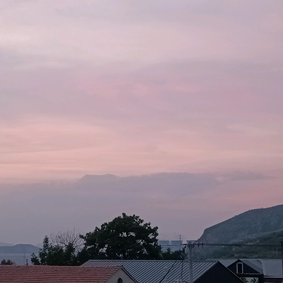 雨后青草香🌿