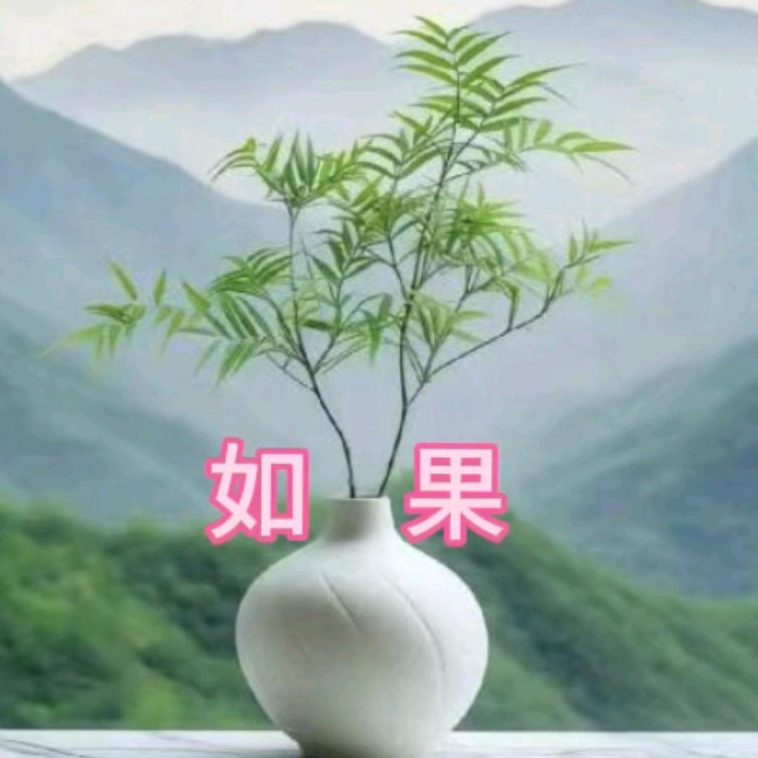 自在哥