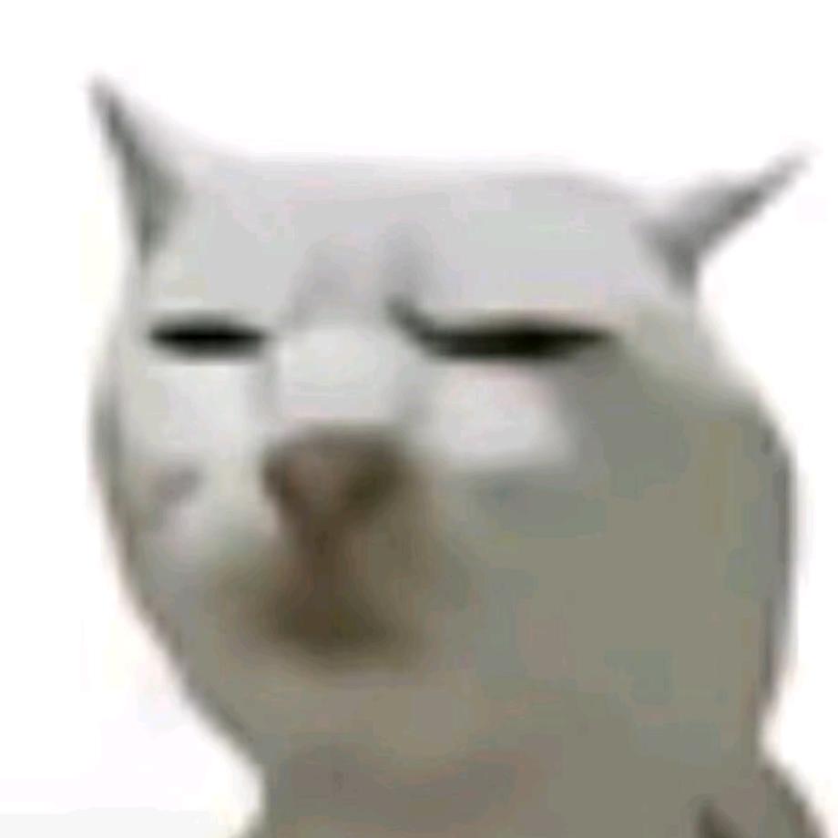 苦茶爆改开裆裤后我骑着跑了📸