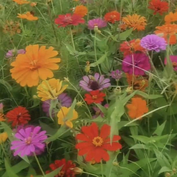 伤心总是难免的