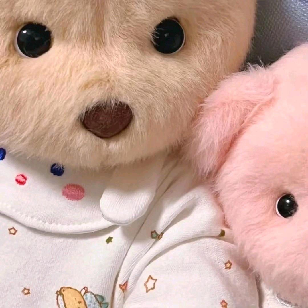 闪电脑子—Promax