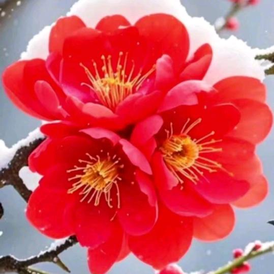 🐴相遇是缘分🐴