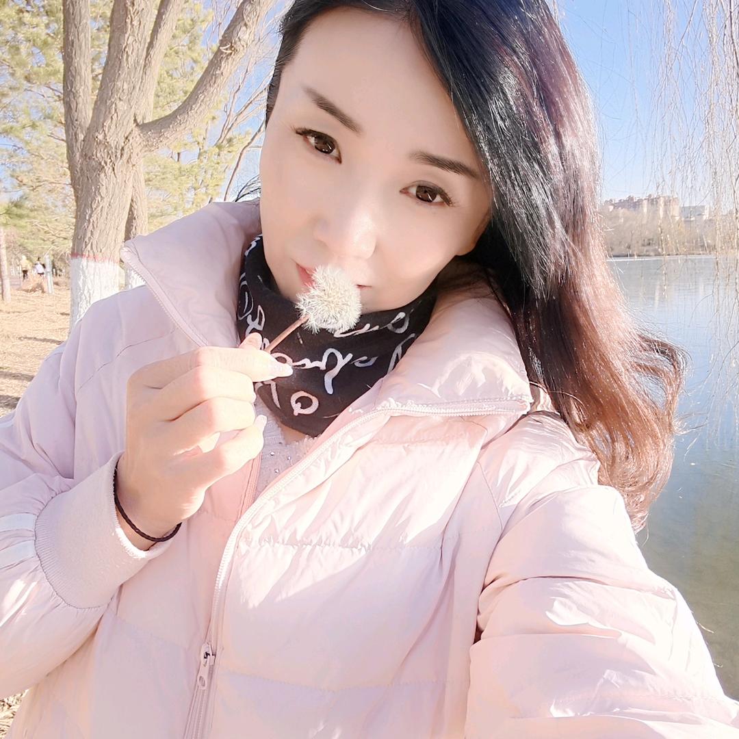 数只轻舟