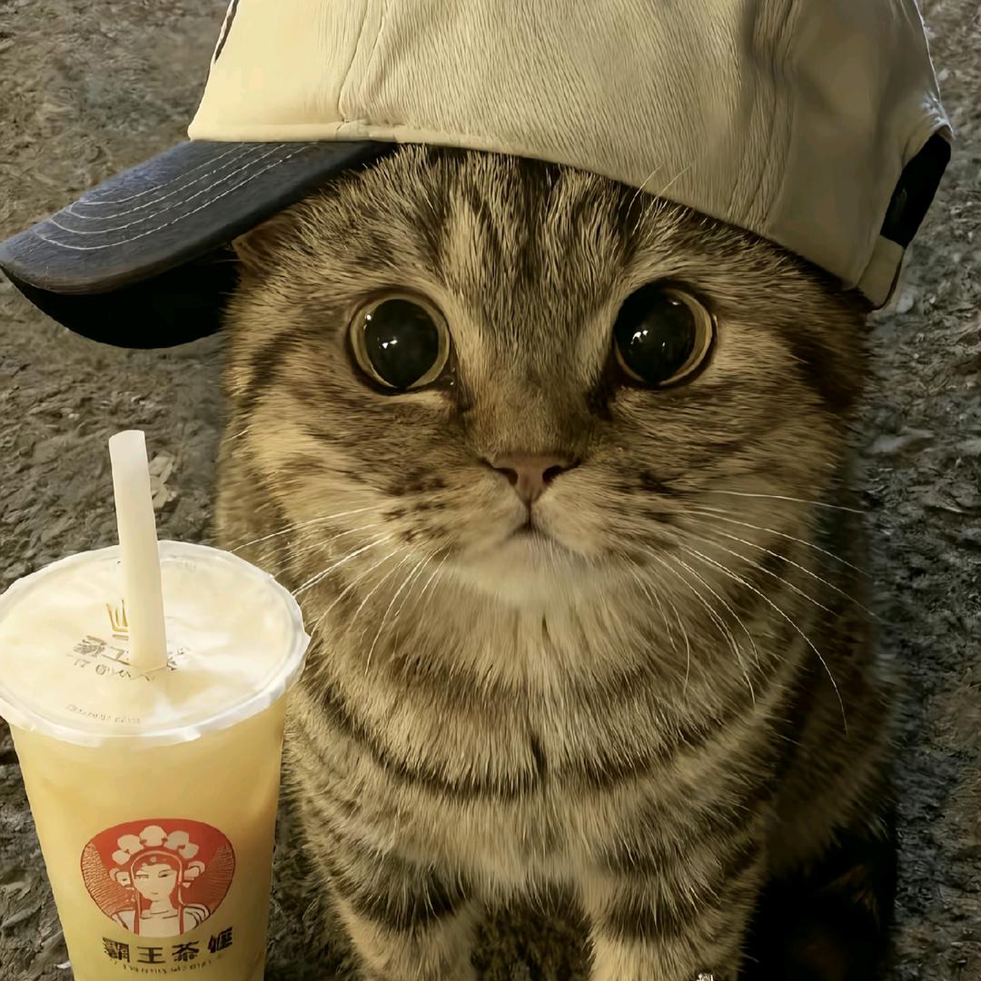 不想赢只是不想输