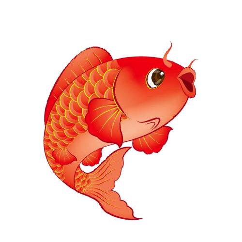 亿条鱼🐟ོ𓆡𓆝