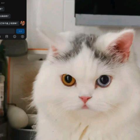 须晴