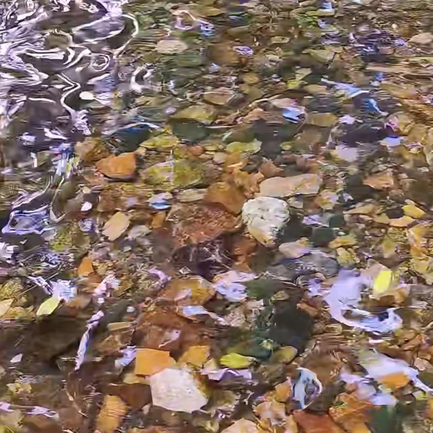 ♥️余生〰️我独行🚗