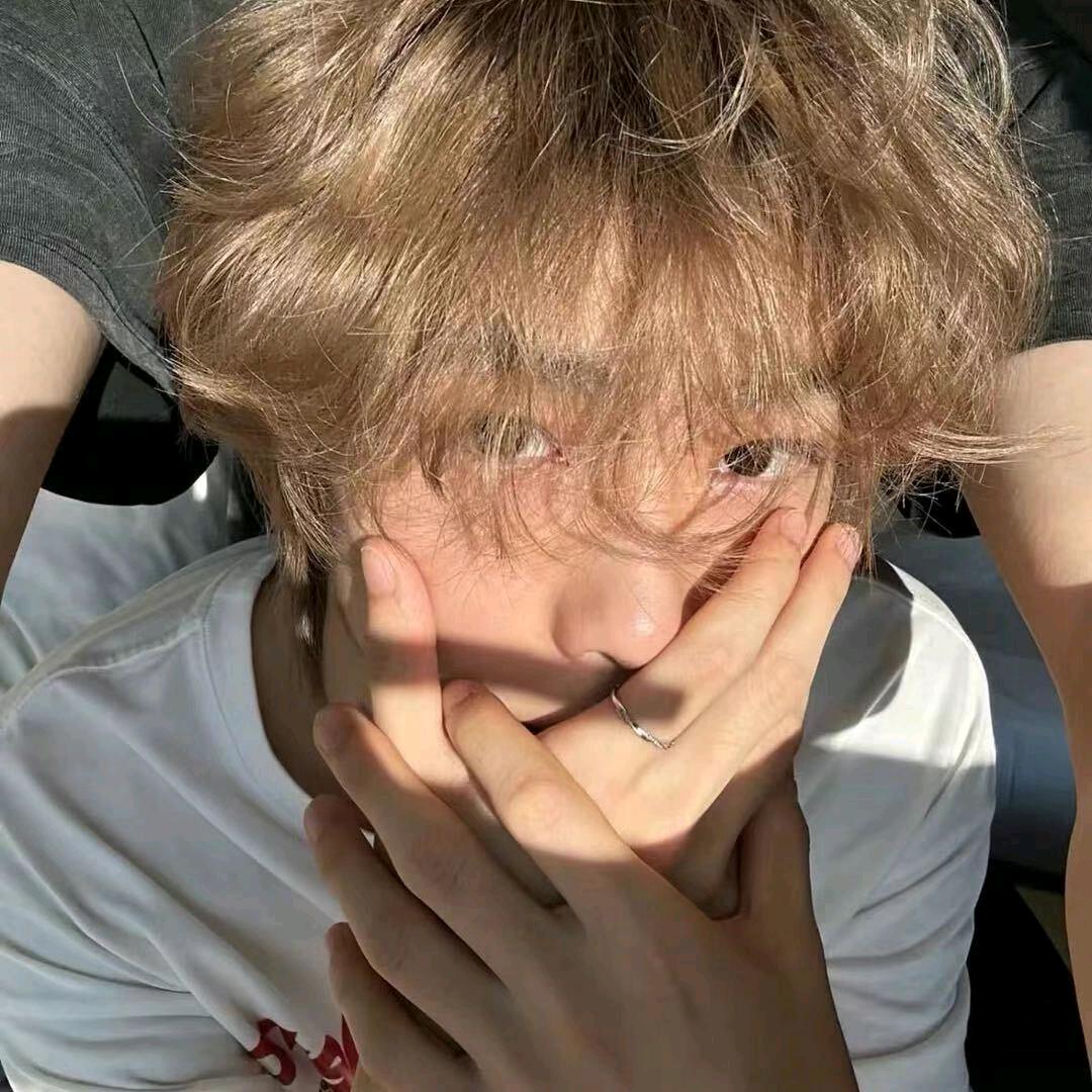 三个句号蜜蜂国王