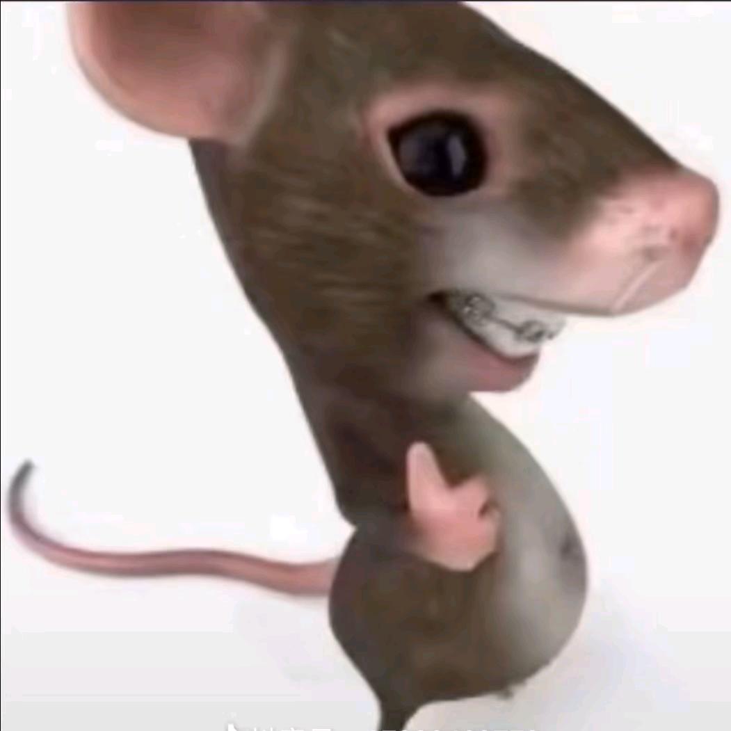 🌑