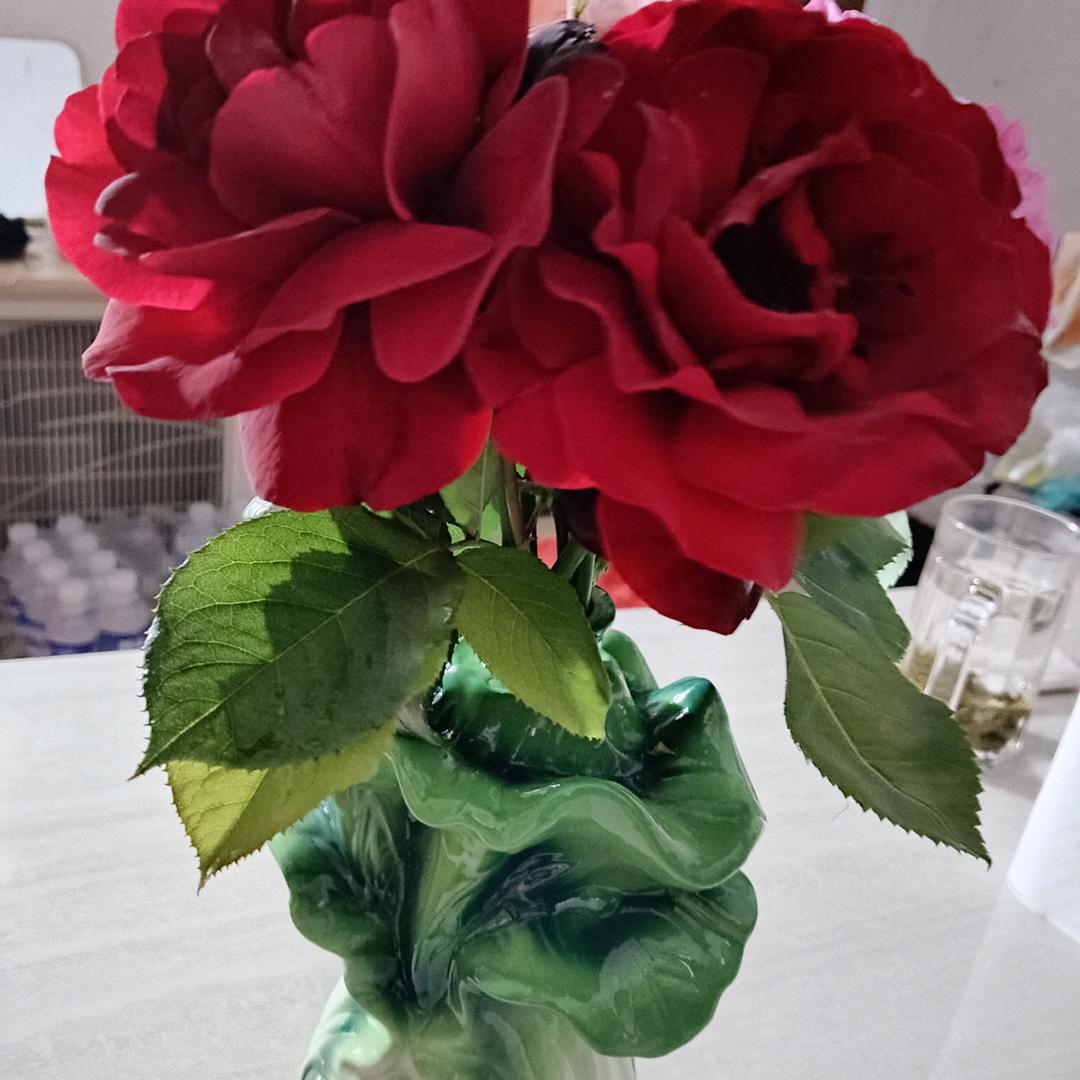 一切随缘。。。