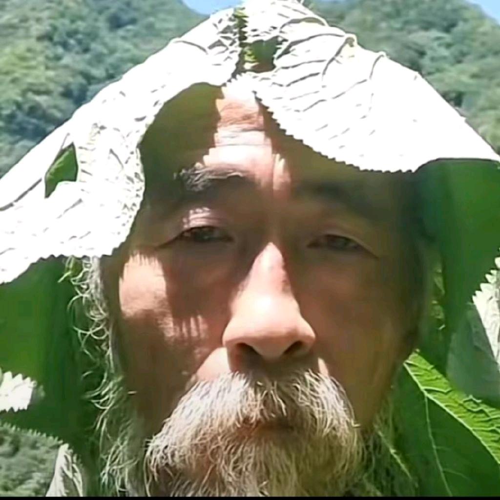 院子T泰菲