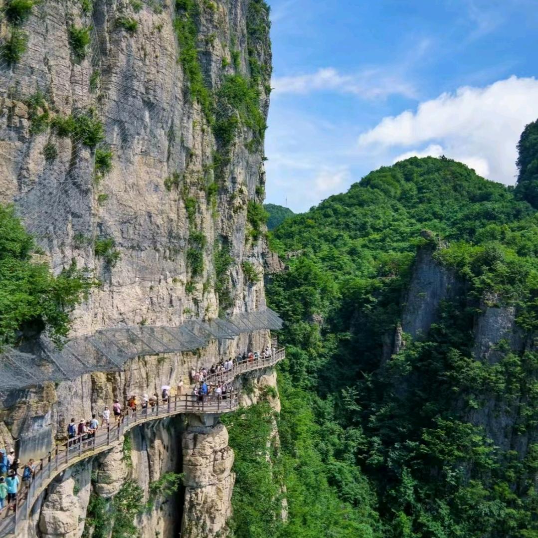 守约青山绿水