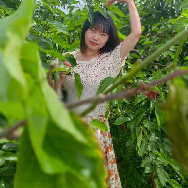 是琳琳呀