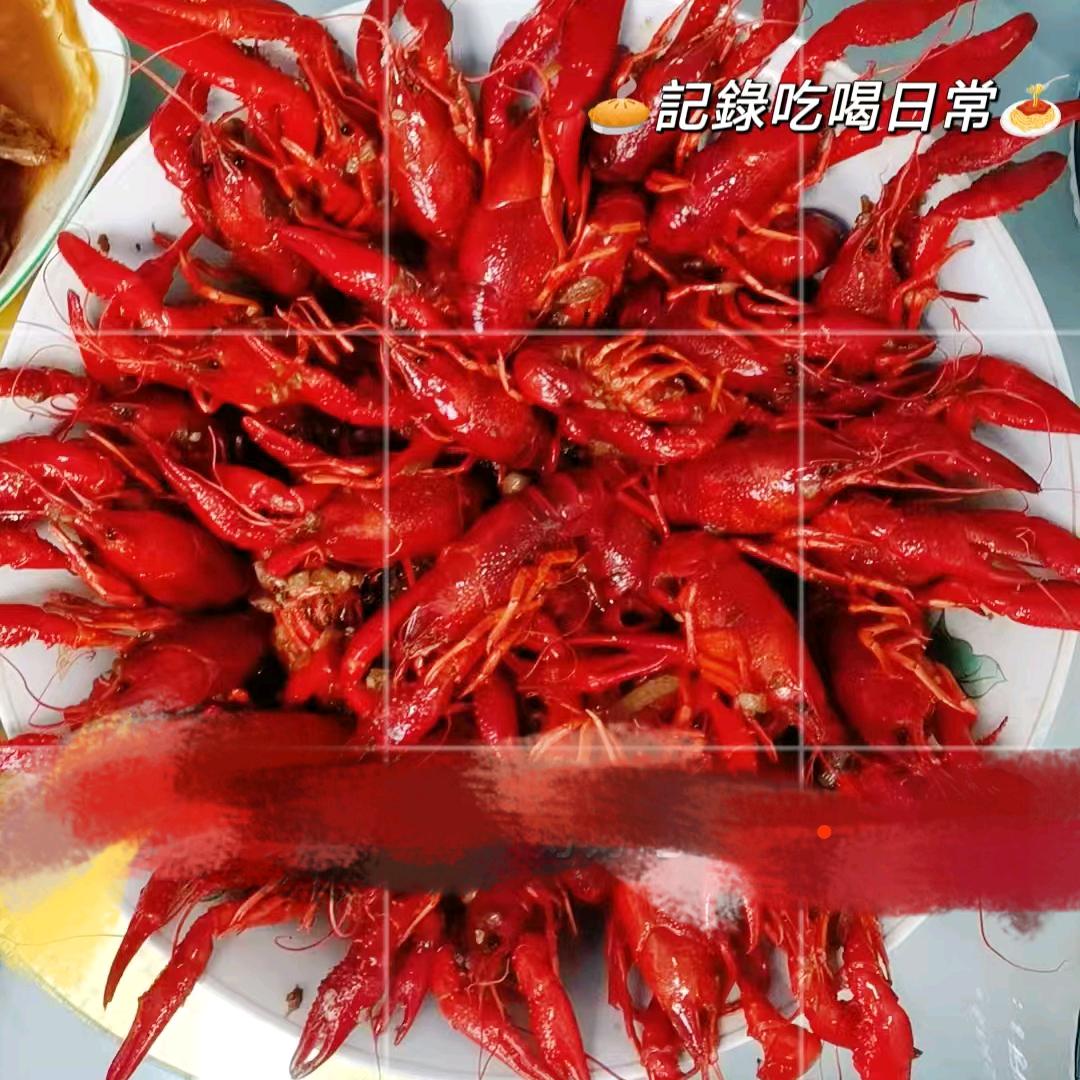 夏天&( ﹡ˆoˆ﹡ )