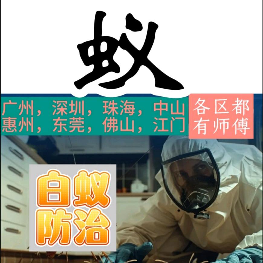 彻底灭治消杀白蚁