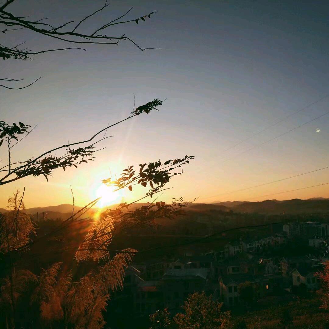 学习中的小伙子