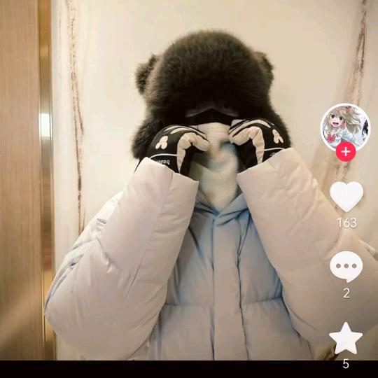 发呆的鱼