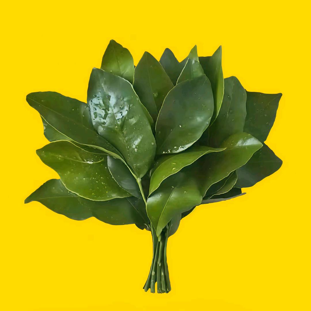 筱文麻麻🌸🌸