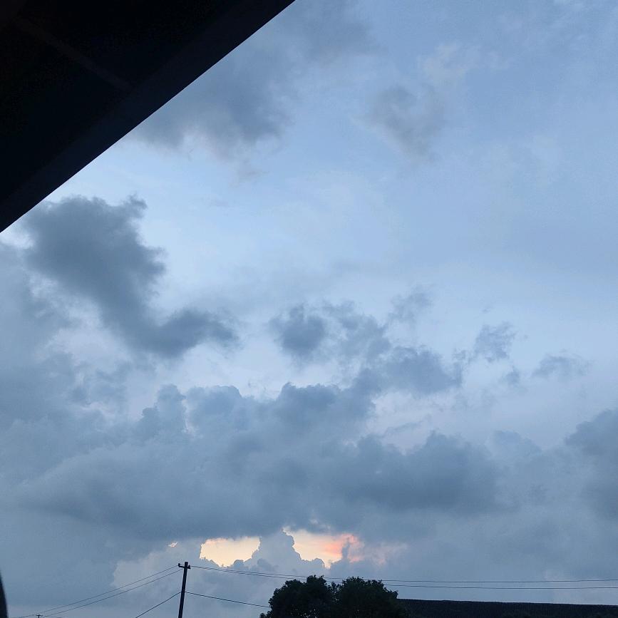 我自倾怀，君且随意