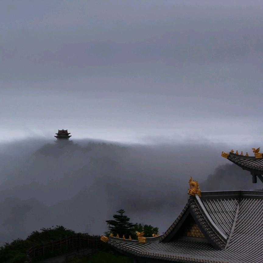 以七