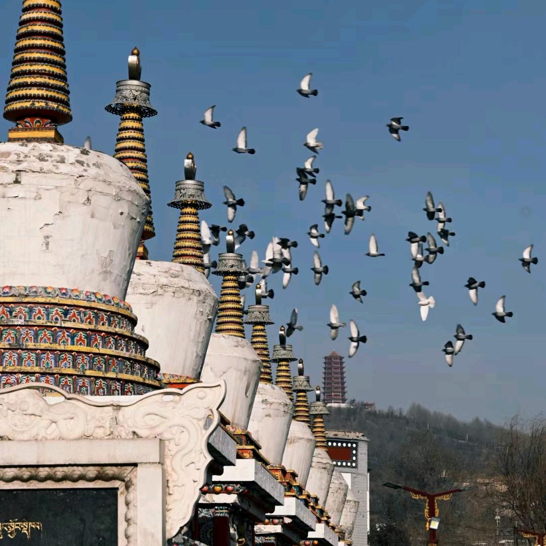 @卡瓦嘎布锅庄团队《多杰》