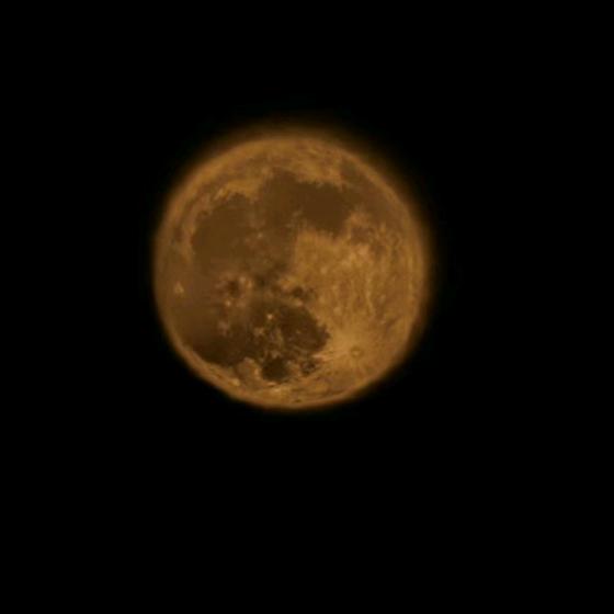 道不同不相为谋！