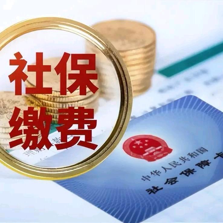 山东社保服务规划