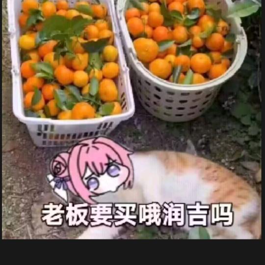 刀王