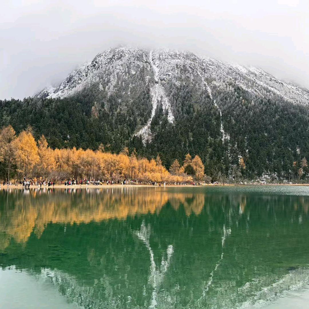 铁牛牛