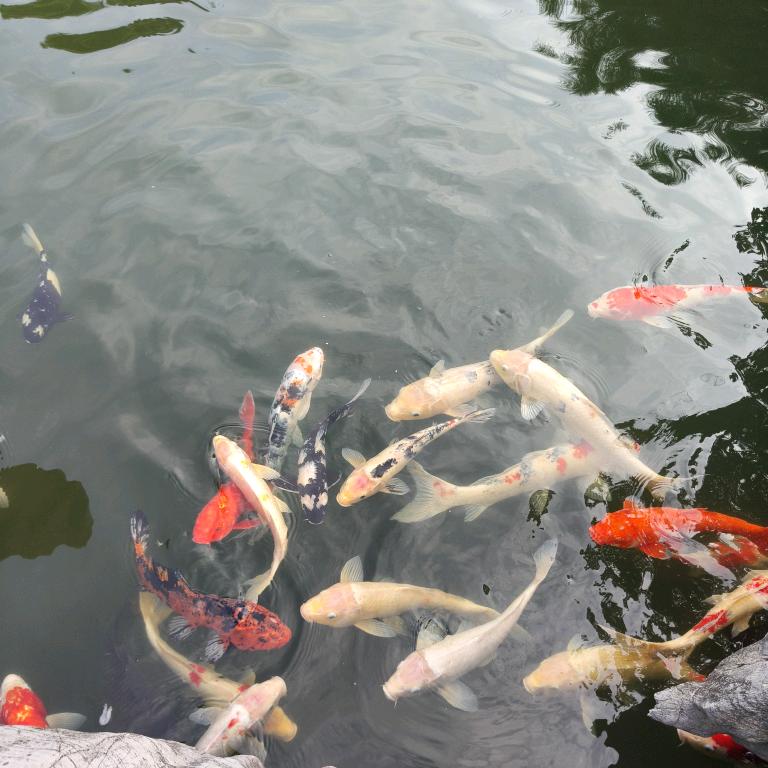 晴月