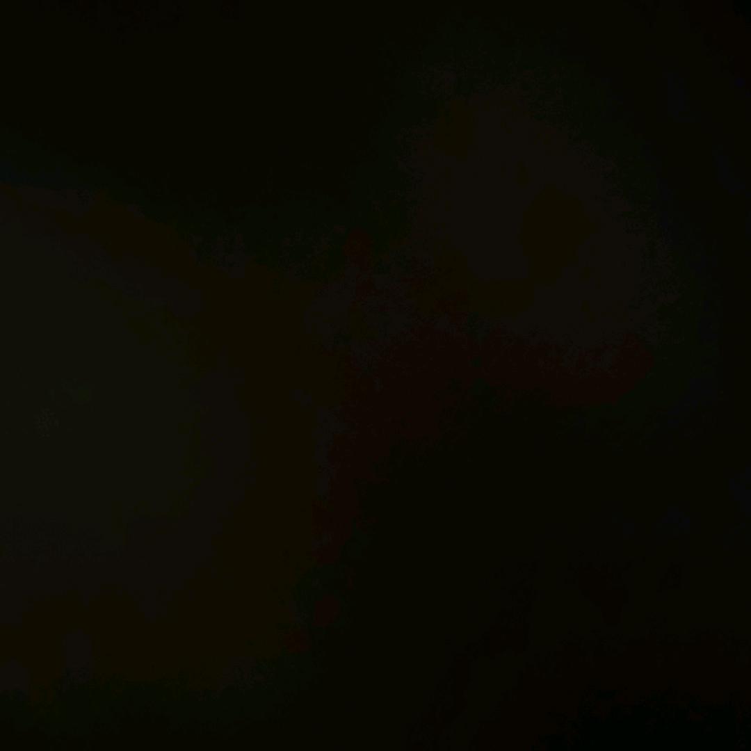 柴主