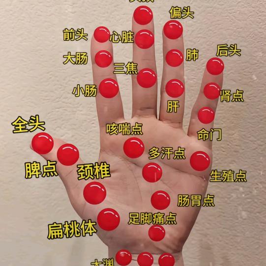 襄邦人经络馆安老师