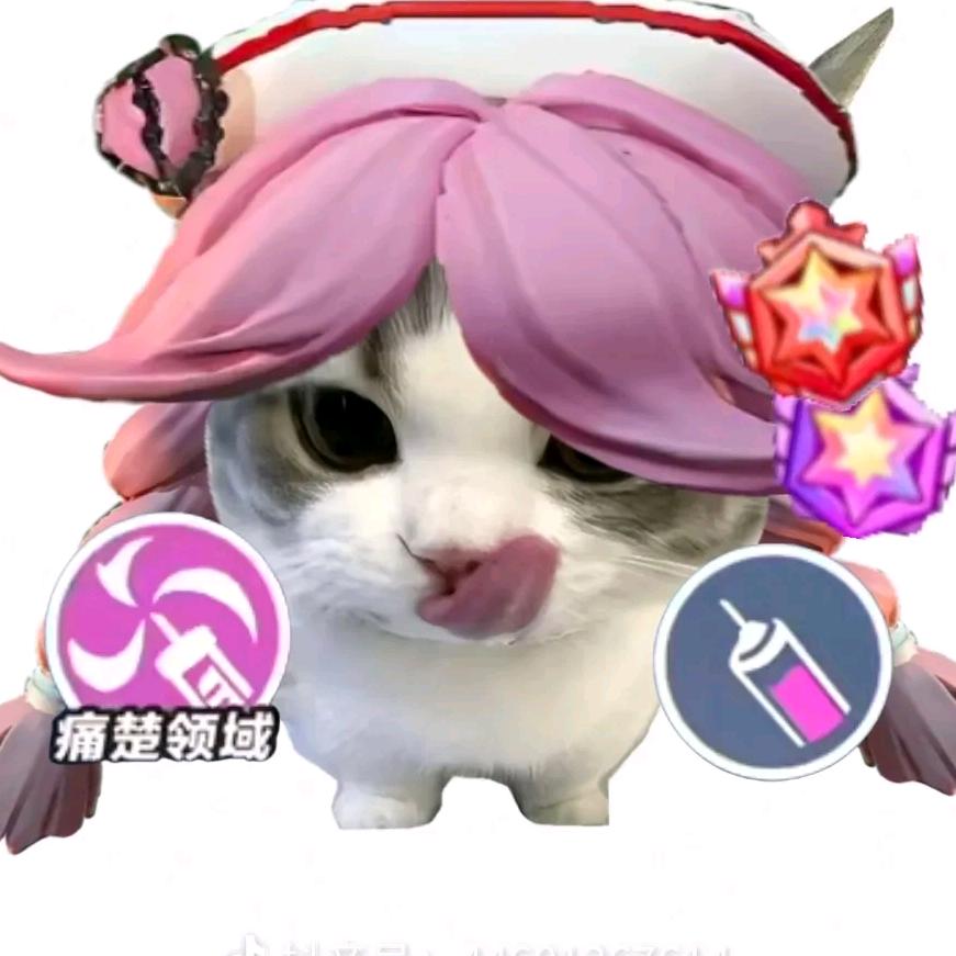 幼稚园の皖熙💤