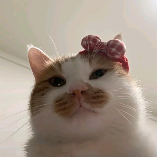 mrrm