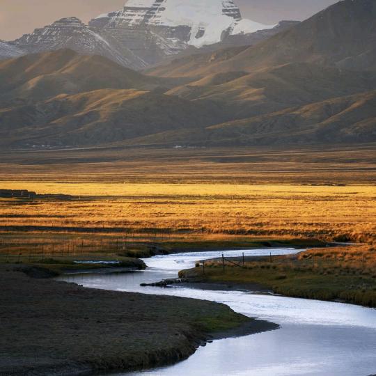 内塔尼亚胡老登