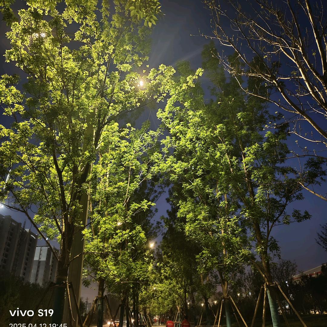 啊辉呀🐮👦！